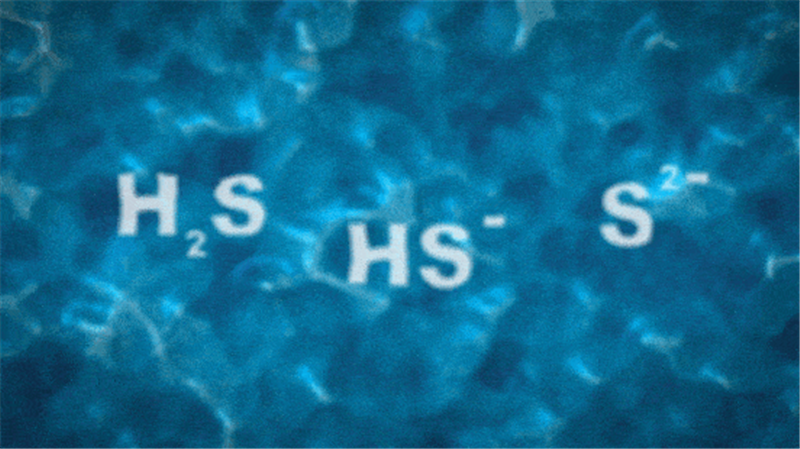 H2S in Water 